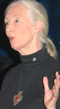 Jane